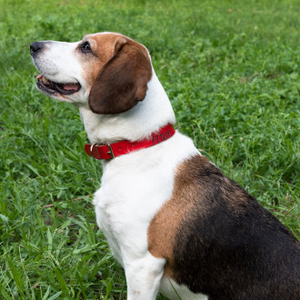 DSC_2683-2,kaishki razburkani 1,kaishki razburkani 2,kaishki razburkani 3,kaishki razburkani 4,kaishki razburkani 5,kaishki razburkani 6,kaishki razburkani 7,,DSC_2741_1